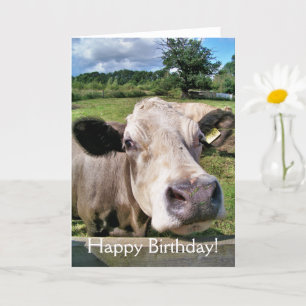 CUTE COW CARD