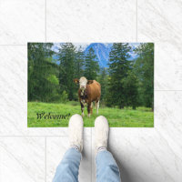 Cute cow in the pasture, photography, fun