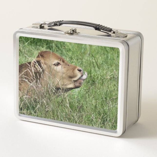 CUTE COW METAL LUNCH BOX (Front)
