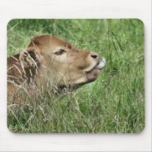 CUTE COW MOUSE MAT