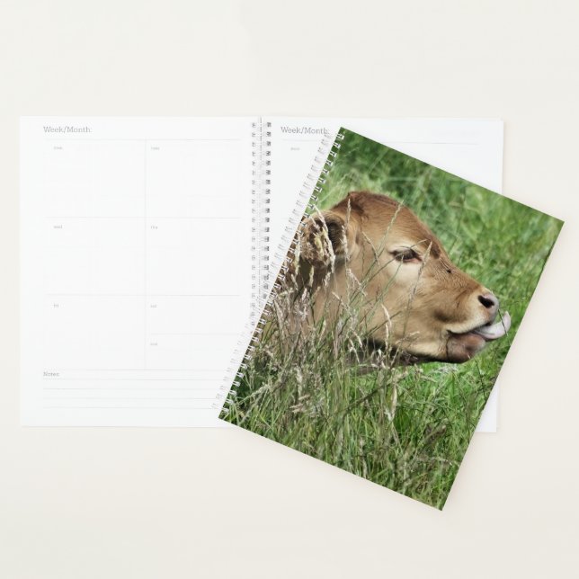 CUTE COW PLANNER (Display)