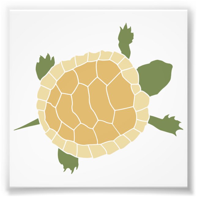 Cute Crawling Little Turtle Tortoise Photo Print (Front)