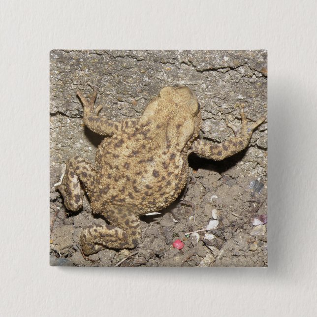 Cute Crawling Toad Button (Front)