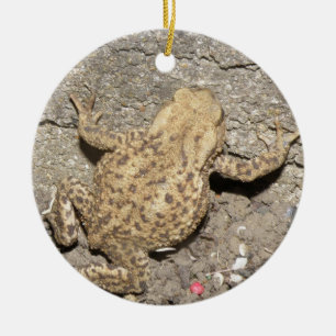 Cute Crawling Toad Custom Birthday Ceramic Tree Decoration