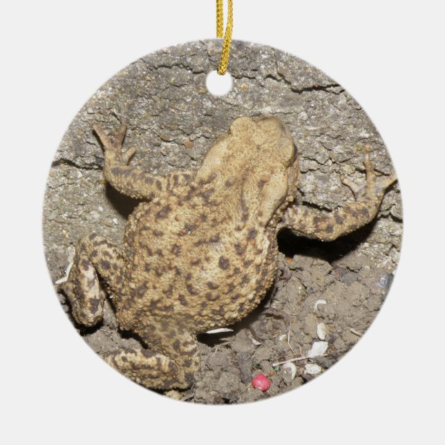Cute Crawling Toad Custom Birthday Ceramic Tree Decoration (Front)