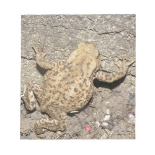 Cute Crawling Toad Notepad