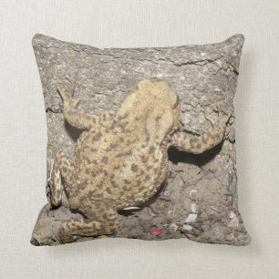 Cute Crawling Toad Pillow