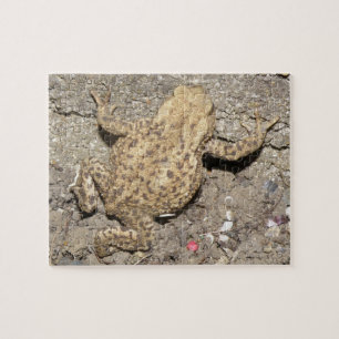 Cute Crawling Toad Puzzle