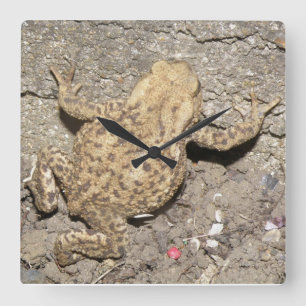 Cute Crawling Toad Wall Clock