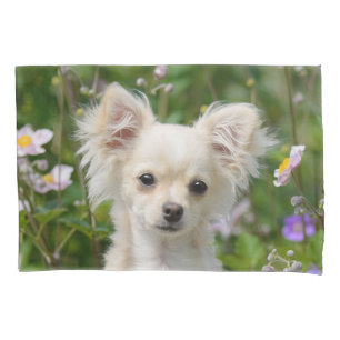 Cute cream Chihuahua Dog Puppy Portrait Photo - Pillowcase
