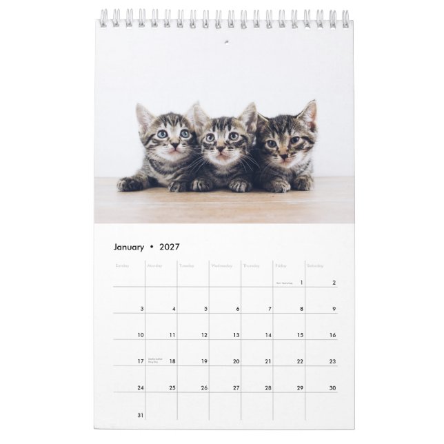 Cute Create Your Own Cat Pet Photo Calendar (Jan 2027)