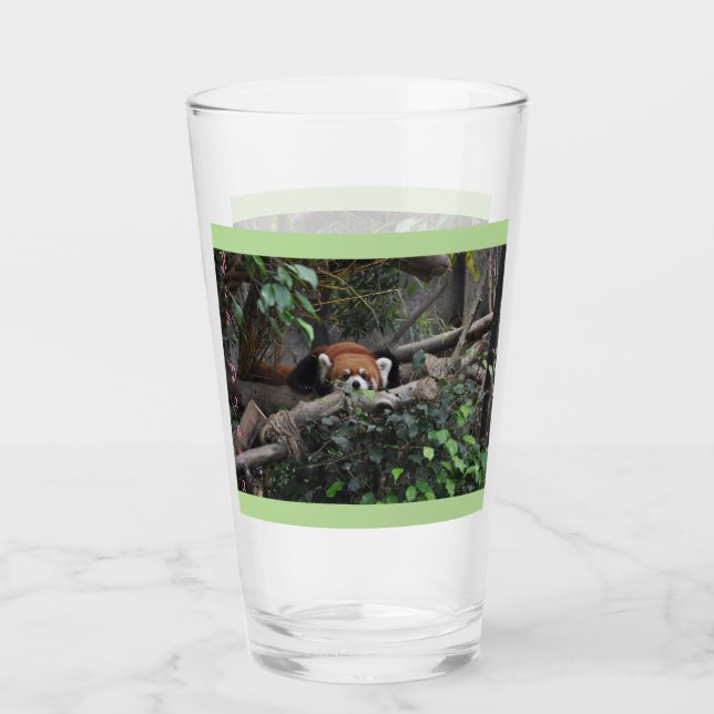 Cute Crouching Red Panda Glass (Front)