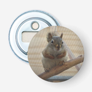Cute Crouching Squirrel on Branch Bottle Opener