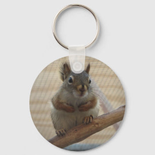 Cute Crouching Squirrel on Branch Key Ring