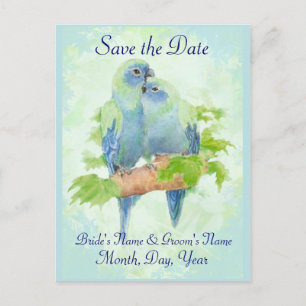 Cute Cuddling Tropical Parrot Bird Wedding Couple Announcement Postcard