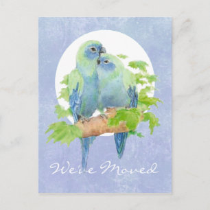 Cute Cuddling Tropical Parrots   Address New Home Announcement Postcard