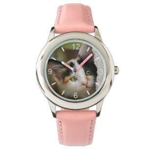 Cute Curious Cat Kitten Prying Eyes .. dial-plate Watch