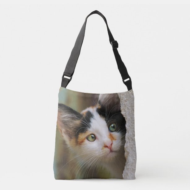 Cat Eye Bags | Zazzle UK