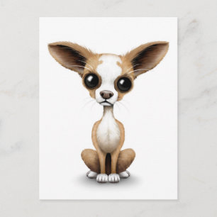 Cute Curious Chihuahua with Large Ears on White Postcard