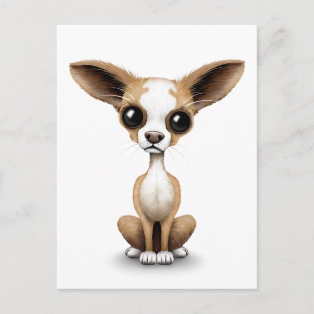 Cute Curious Chihuahua with Large Ears on White Postcard (Front)