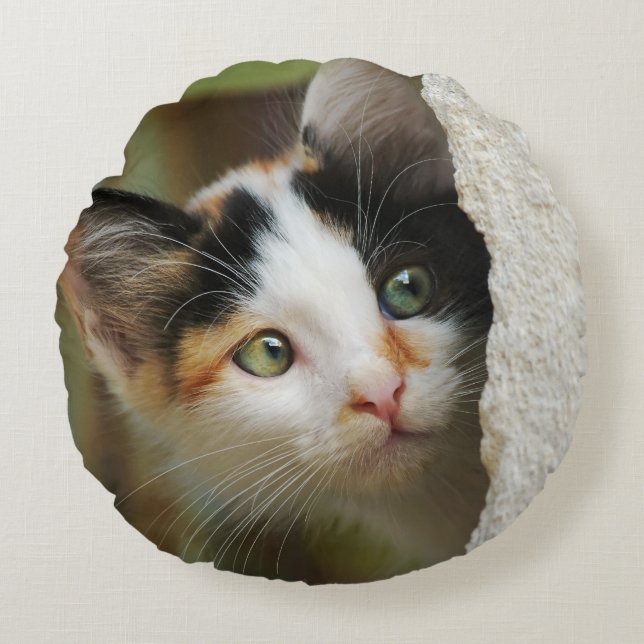 Cute Curious Kitten Prying Eyes, smooth Round Cushion (Front)
