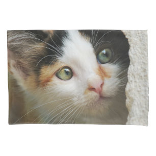 Cute Curious Kitten with Prying Eyes Photo - Pillowcase