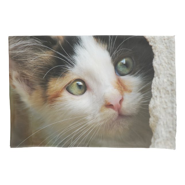 Cute Curious Kitten with Prying Eyes Photo - Pillowcase (Front)