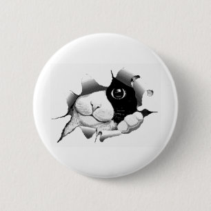 Cute curious sneaky cat kitten graphic 6 cm round badge