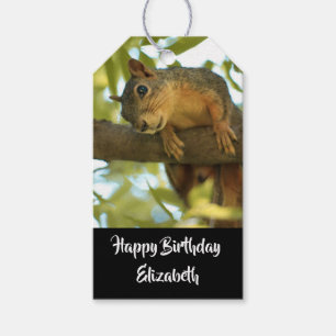 Cute & Curious Squirrel Nature Photo - Birthday Gift Tags