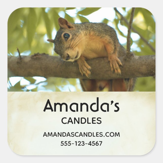 Cute & Curious Squirrel Nature Photo - Business Square Sticker (Front)
