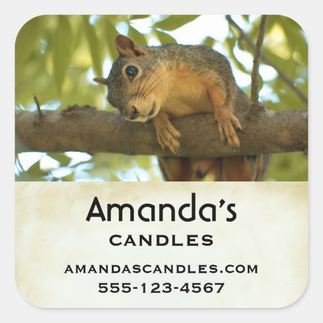 Cute & Curious Squirrel Nature Photo - Business Square Sticker (Front)