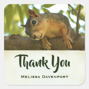 Cute & Curious Squirrel Nature Photo - Thank You Square Sticker