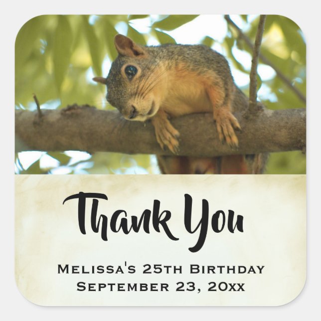 Cute & Curious Squirrel Nature Photo - Thank You Square Sticker (Front)