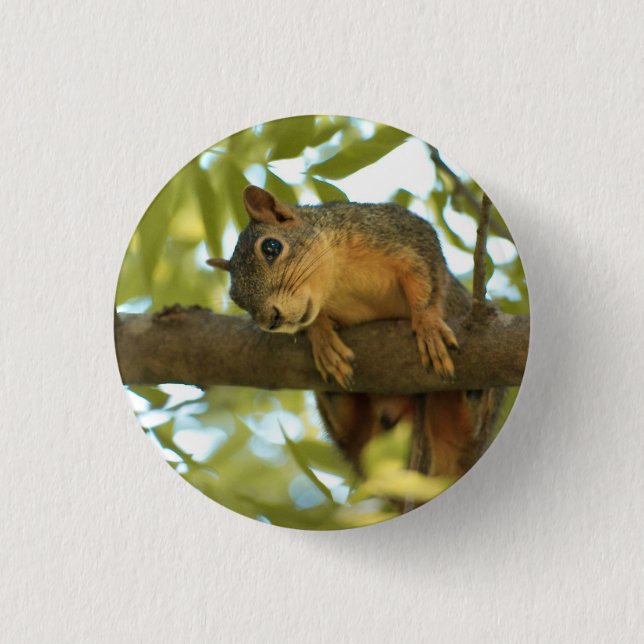 Cute & Curious Squirrel Nature Photography 3 Cm Round Badge (Front)