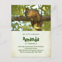 Cute Curious Squirrel Nature Photography Birthday