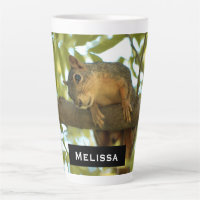 Cute & Curious Squirrel Nature Photography