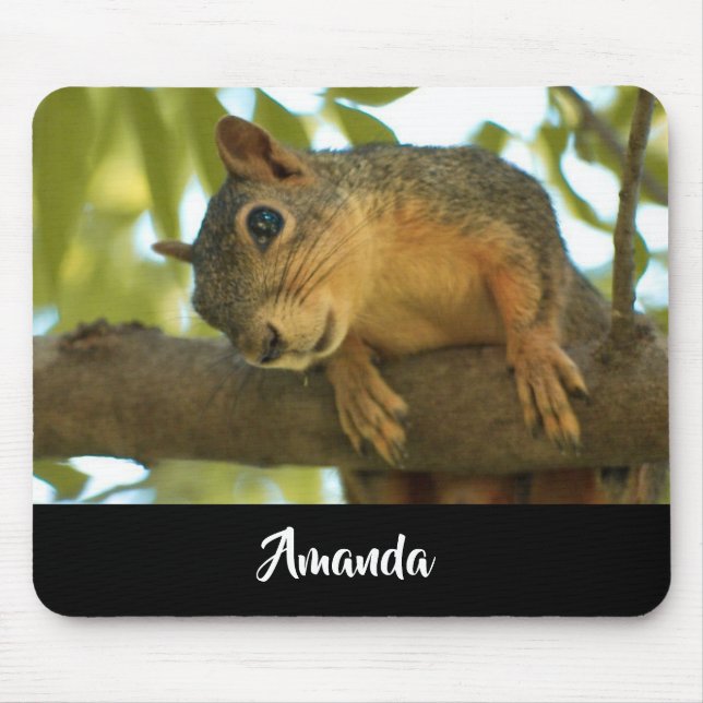 Cute & Curious Squirrel Nature Photography Mouse Mat (Front)
