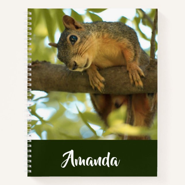  Cute & Curious Squirrel Nature Photography Notebook (Front)
