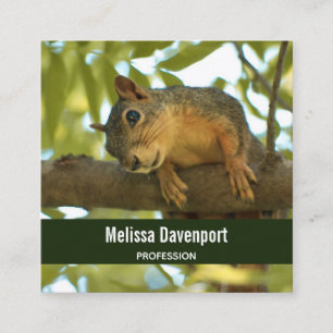 Cute Curious Squirrel Nature Photography Square Business Card