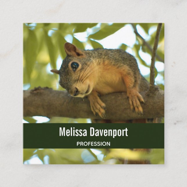 Cute Curious Squirrel Nature Photography Square Business Card (Front)