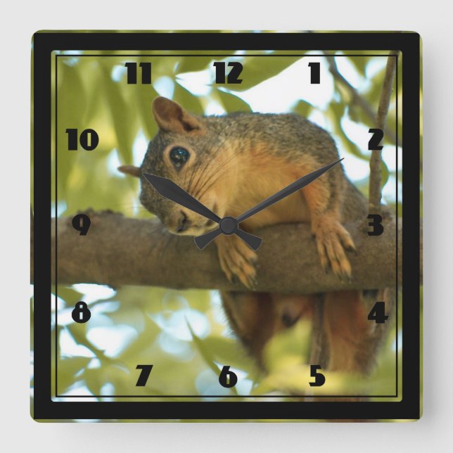 Cute & Curious Squirrel Nature Photography Square Wall Clock (Front)