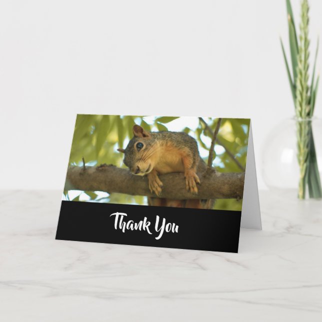 Cute Curious Squirrel Nature Photography Thank You Card (Front)