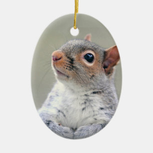 Cute Curious Squirrel Photo Ceramic Tree Decoration