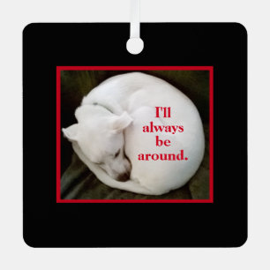 Cute Curled Up White Puppy Dog Valentine's Day Red Metal Tree Decoration