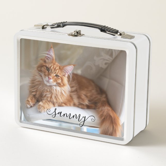 Cute Curly Name Cat Photo Metal Lunch Box (Front)