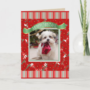 Cute Custom Dog Christmas Holiday Card
