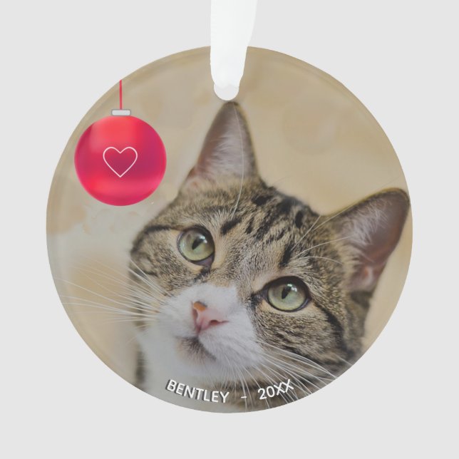 Cute custom tabby cat with Christmas ball photo Ornament (Front)