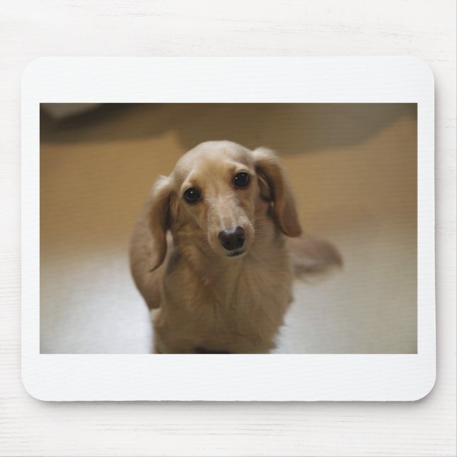 Cute dachschund dog mouse mat (Front)