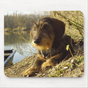 Cute Dachshund at the lake Mouse Mat