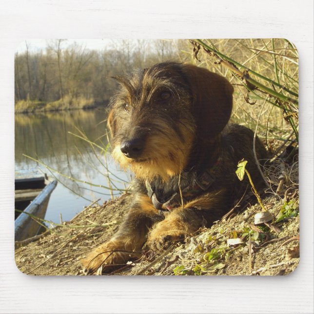 Cute Dachshund at the lake Mouse Mat (Front)